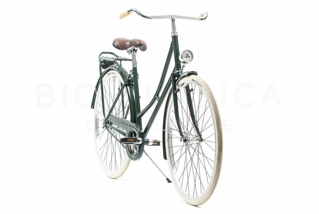 Green store dutch bike