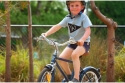 Comprar Bicicleta de Niño REID Contrapedal Roadster 20" Azul