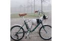 Comprar Bicicleta eléctrica plegable Capri VITA British Green